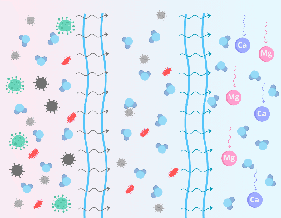 Reverse Osmosis: How It Works and When You (Don’t) Need It at Home